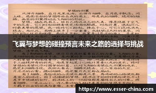 飞翼与梦想的碰撞预言未来之路的选择与挑战